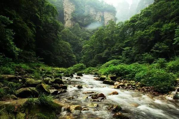 邢台威县37个项目集中签约