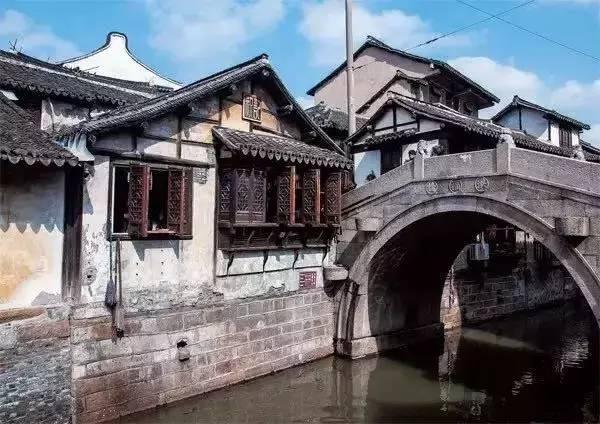 拯救蓝色小鸟